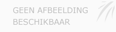 Afbeelding › Kapsalon De Hoofdzaak